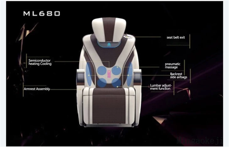 Luxury Car Seat